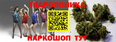 таблы Будённовск