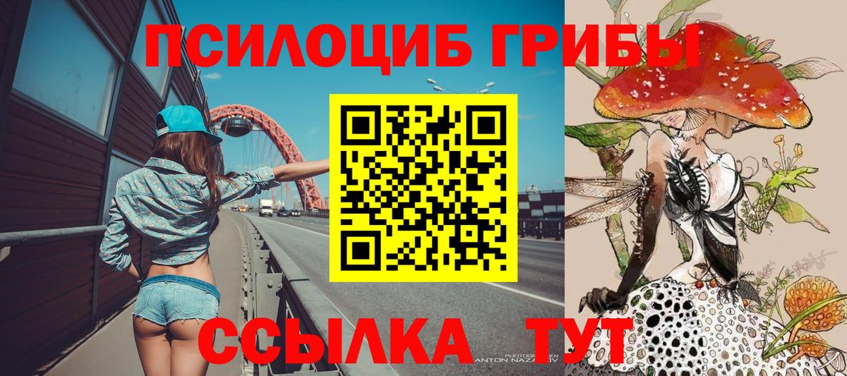 Псилоцибиновые грибы мицелий  Вход с VPN  Галлюциногенные грибы MAGIC MUSHROOMS  Черногорск 